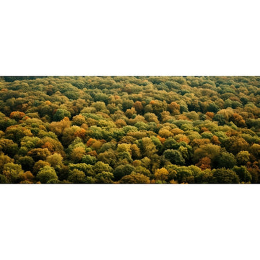 Tableau Forêt Triptyque